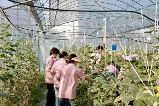 江西于都富硒蔬菜产业园（于都富硒产业发展中心）-硒宝网