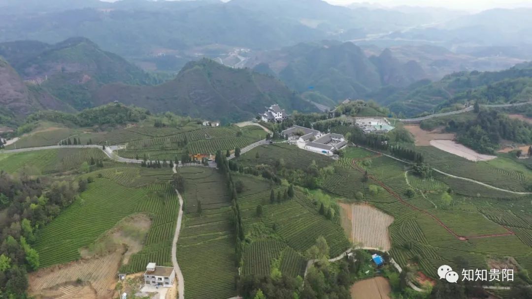 南江乡富硒蔬菜种植面积（万亩富硒蔬菜基地）-硒宝网