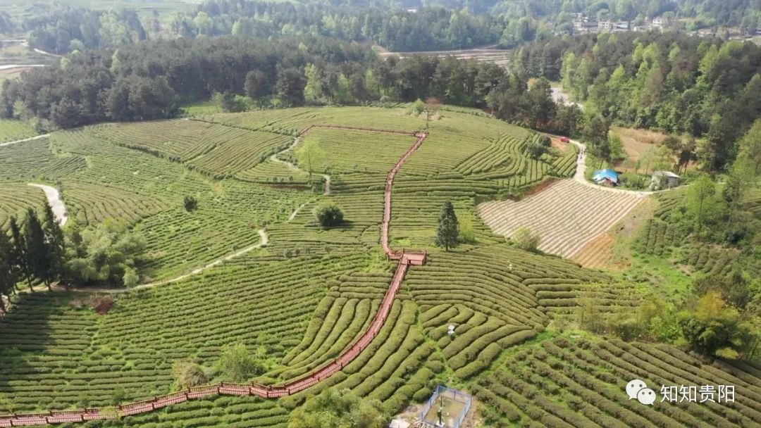 南江乡富硒蔬菜种植面积（万亩富硒蔬菜基地）-硒宝网