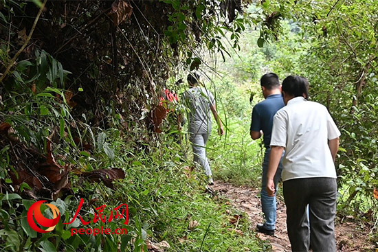 江西于都富硒蔬菜产业园（于都富硒农业）-硒宝网