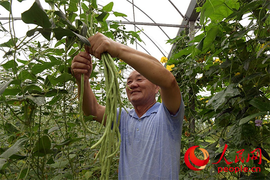 江西于都富硒蔬菜产业园（于都富硒农业）-硒宝网