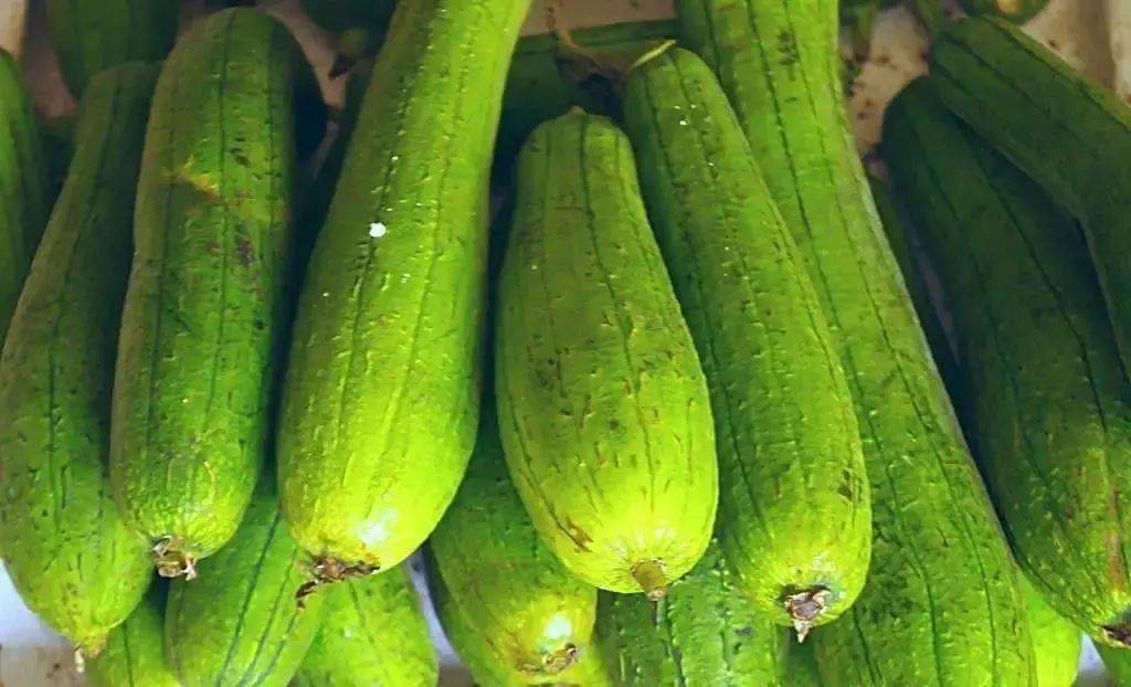 于都县富硒蔬菜种植观摩（于都富硒大米）-硒宝网