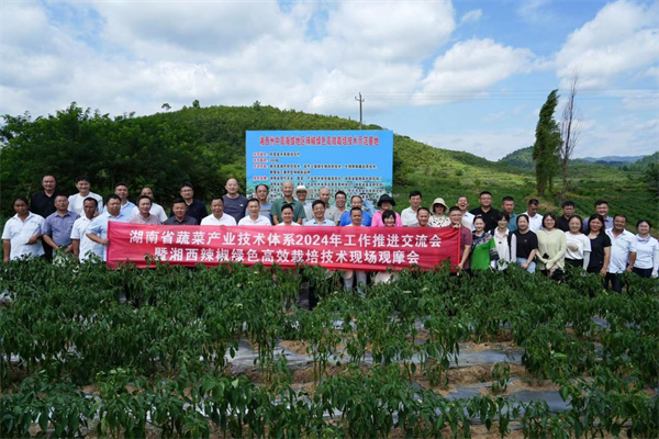 恩施州高山富硒蔬菜栽培(湖北恩施富硒植蔬片)-硒宝网