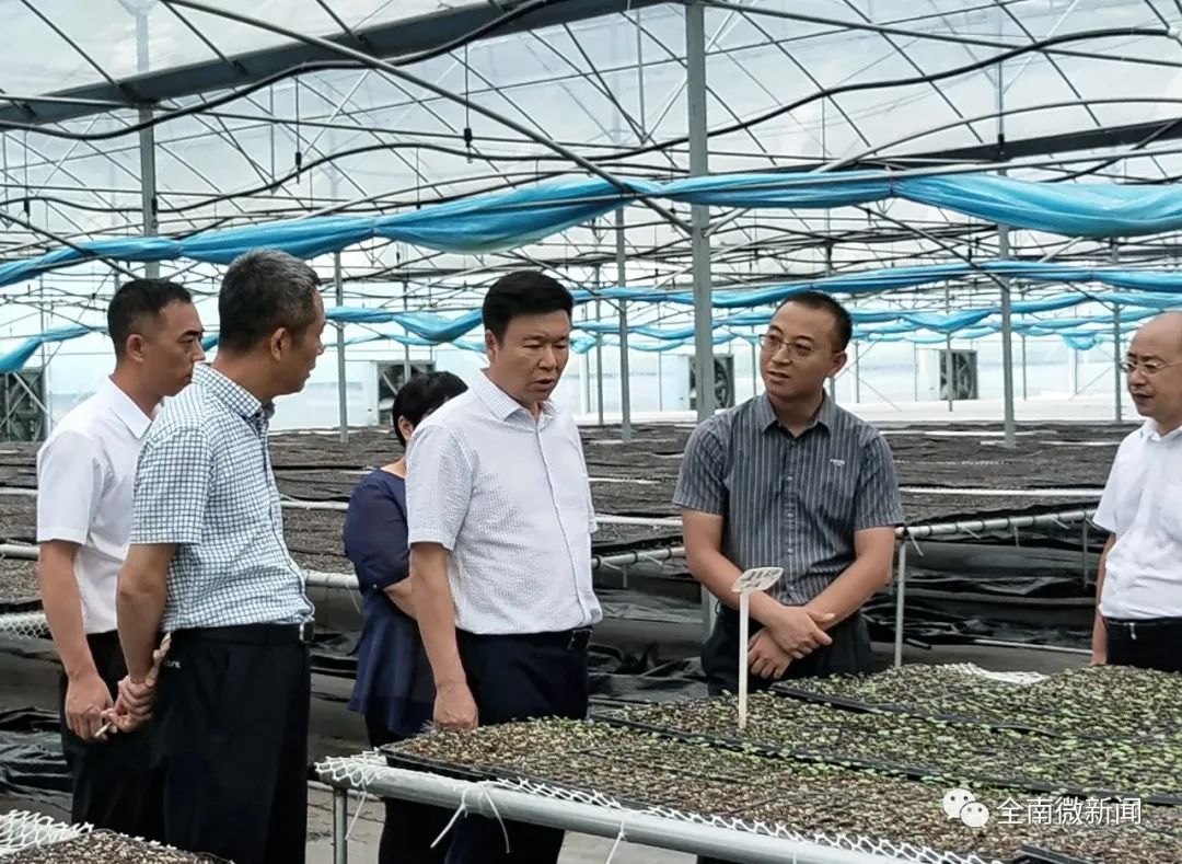 嘉禾县富硒蔬菜基地招标（嘉禾县富硒村）-硒宝网