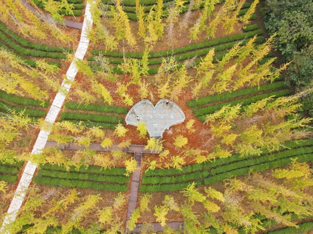 宜丰鲁盛富硒蔬菜产业园(鲁盛蔬菜基地)-硒宝网