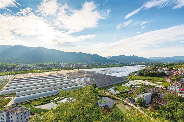 于都县梓山富硒蔬菜微视(于都县梓山镇蔬菜基地)-硒宝网