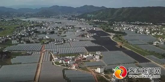 于都县梓山富硒蔬菜微视(于都县梓山镇蔬菜基地)-硒宝网