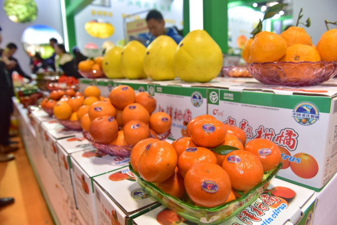 于都县梓山富硒蔬菜特色(于都县富硒产业发展中心)-硒宝网