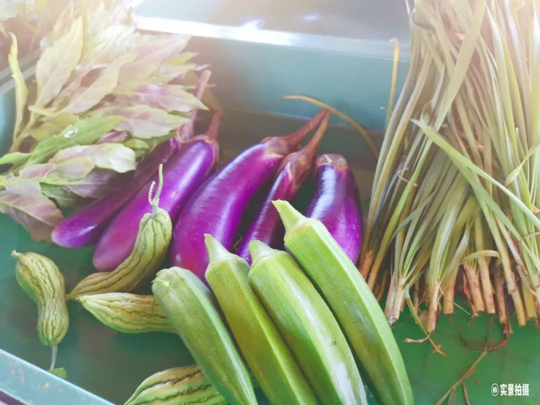 于都县大力发展富硒蔬菜（于都县蔬菜产业）-硒宝网