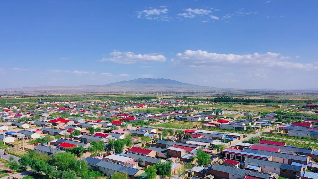 于都县梓山富硒蔬菜特色(于都县梓山镇蔬菜基地)-硒宝网