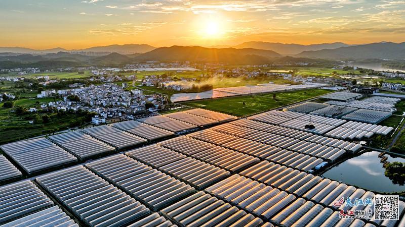 赣州市富硒蔬菜基地地址(赣州蔬菜价格表最新)-硒宝网