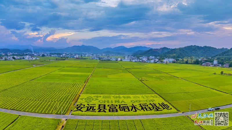 赣州市富硒蔬菜基地地址(赣州蔬菜价格表最新)-硒宝网