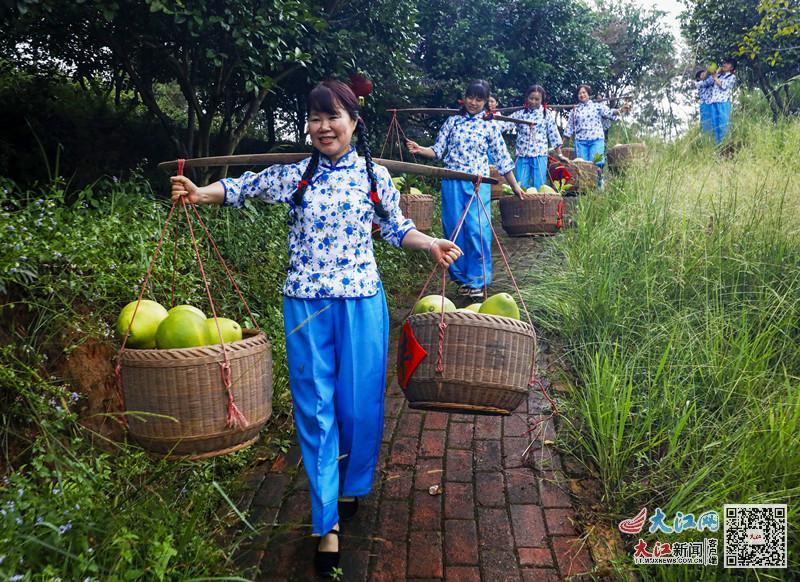 赣州市富硒蔬菜基地地址(赣州蔬菜价格表最新)-硒宝网