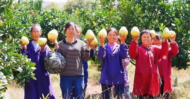 万安县富硒蔬菜基地地址（万安县富硒米业公司）-硒宝网