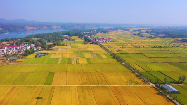万安县富硒蔬菜基地地址（万安县富硒米业公司）-硒宝网