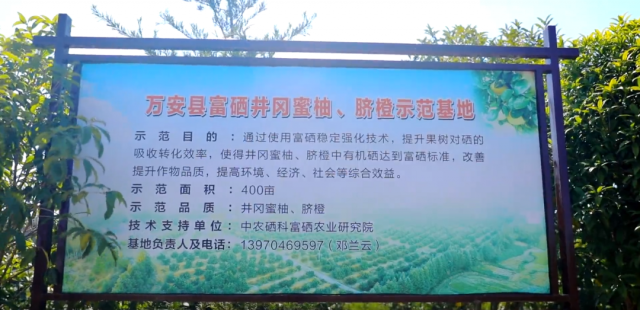 万安县富硒蔬菜基地地址（万安县富硒米业公司）-硒宝网