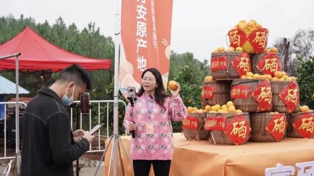 万安县富硒蔬菜基地地址（万安县富硒米业公司）-硒宝网