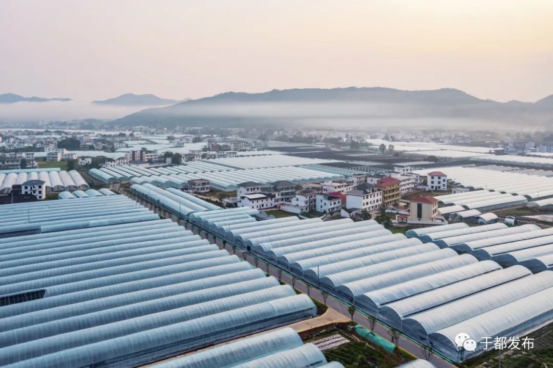 富硒蔬菜市场前景怎么样(富硒蔬菜价格比普通蔬菜)-硒宝网