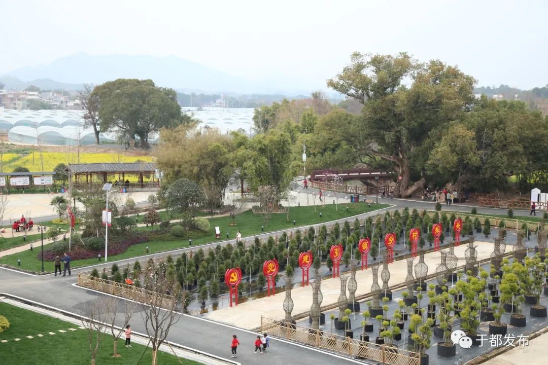 富硒蔬菜市场前景怎么样(富硒蔬菜价格比普通蔬菜)-硒宝网