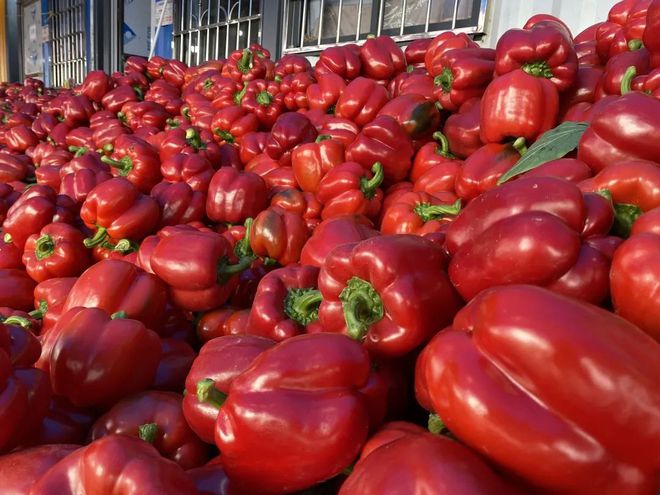 大棚富硒蔬菜一年多少钱(万亩富硒蔬菜基地)-硒宝网