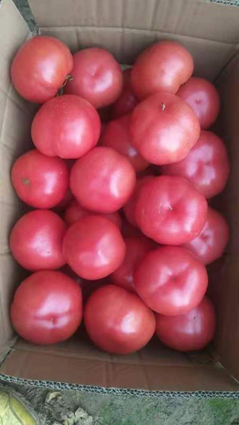 大棚富硒蔬菜一年多少钱(万亩富硒蔬菜基地)-硒宝网