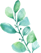 怎么种植富硒水果西红柿(种植西红柿效益如何)-硒宝网