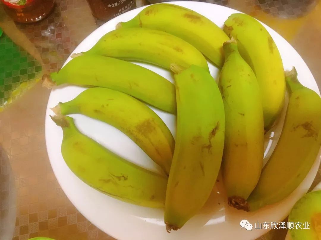 怎么种植富硒水果西红柿(种植西红柿效益如何)-硒宝网