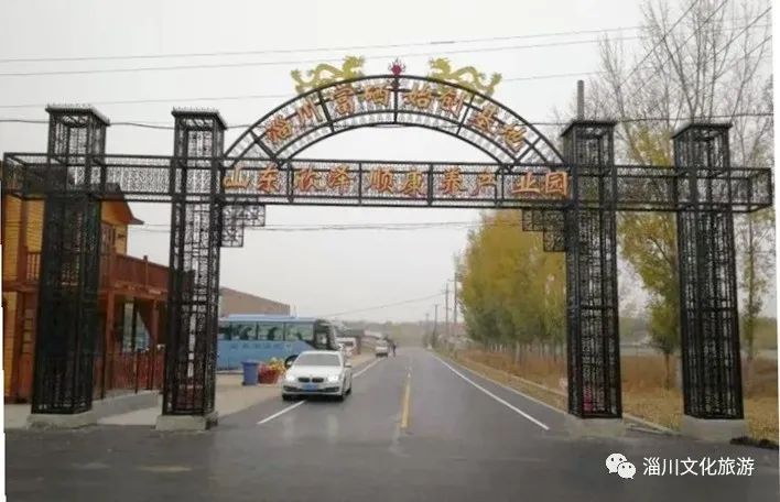 怎么种植富硒水果西红柿(种植西红柿效益如何)-硒宝网