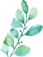 怎么种植富硒水果西红柿(种植西红柿效益如何)-硒宝网