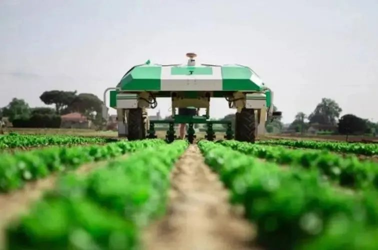 富硒水果的价格策略研究(水果销售价格策略)-硒宝网