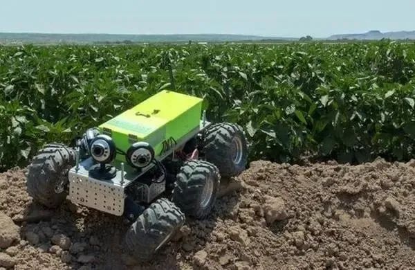 富硒水果的价格策略研究(水果销售价格策略)-硒宝网