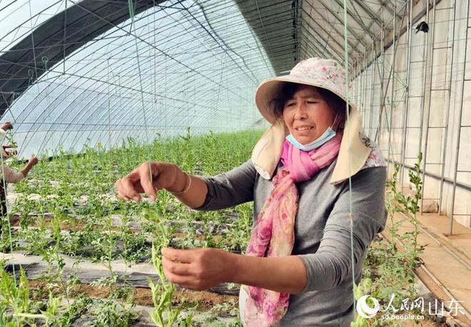 仁风富硒蔬菜数字产业园(蔬菜庄园)-硒宝网