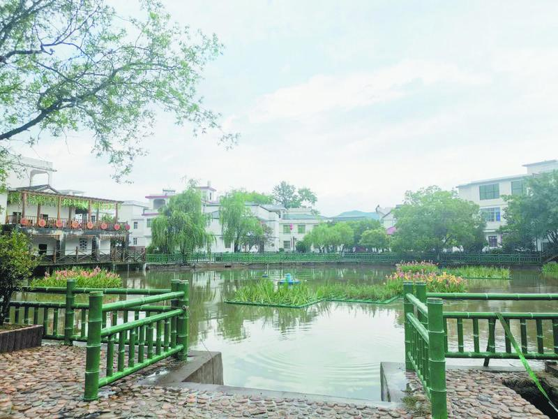 梓山富硒蔬菜产业园考察（梓山蔬菜基地门票多少）-硒宝网