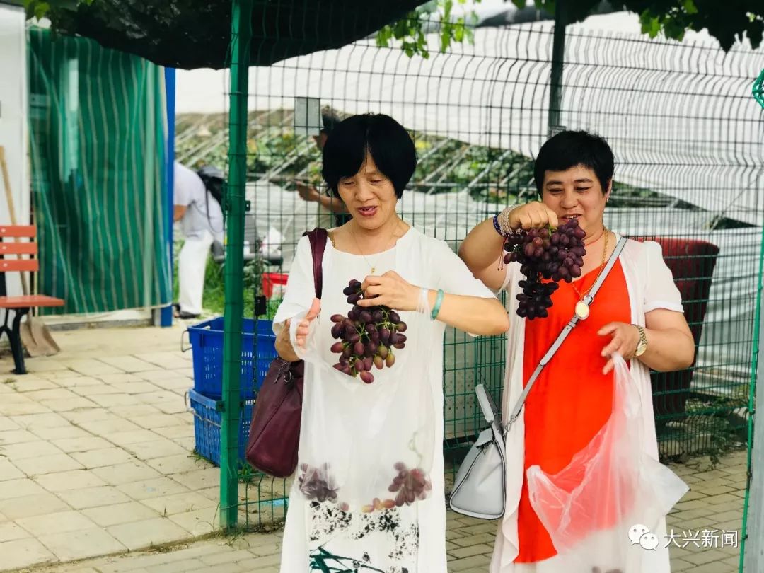 水果增加富硒元素的肥料（富硒对水果的作用如何）-硒宝网