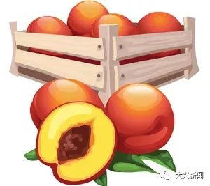 水果增加富硒元素的肥料（富硒对水果的作用如何）-硒宝网