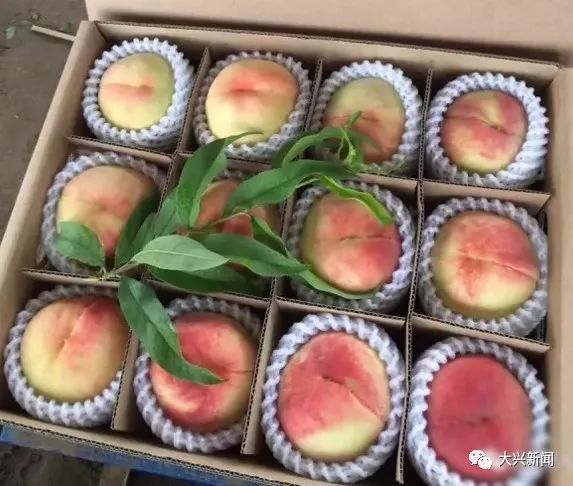 水果增加富硒元素的肥料（富硒对水果的作用如何）-硒宝网