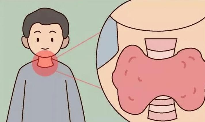 富硒最贵水果是什么水果(水果贵富硒是什么东西)-硒宝网