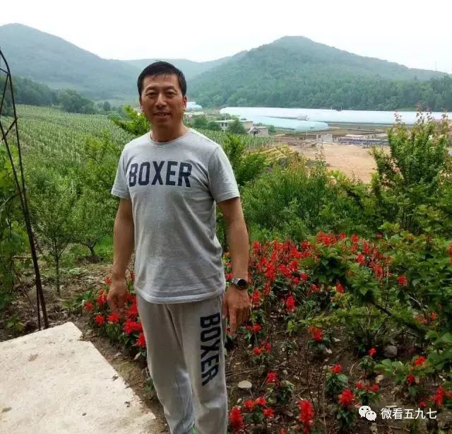 水果增加富硒元素的肥料(水果元素富硒增加肥料的原因)-硒宝网