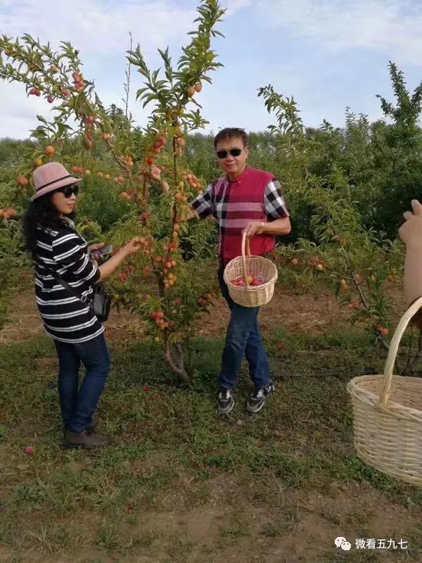 水果增加富硒元素的肥料(水果元素富硒增加肥料的原因)-硒宝网