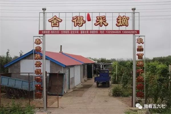 水果增加富硒元素的肥料(水果元素富硒增加肥料的原因)-硒宝网