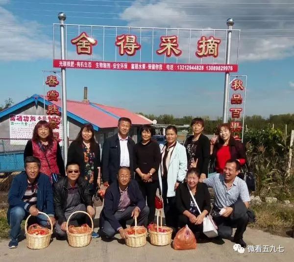 水果增加富硒元素的肥料(水果元素富硒增加肥料的原因)-硒宝网