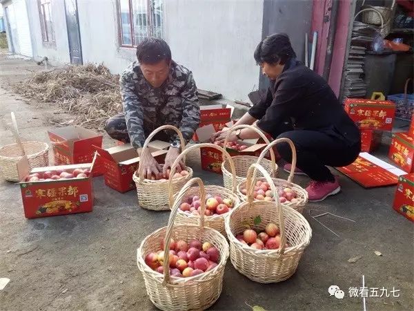 水果增加富硒元素的肥料(水果元素富硒增加肥料的原因)-硒宝网