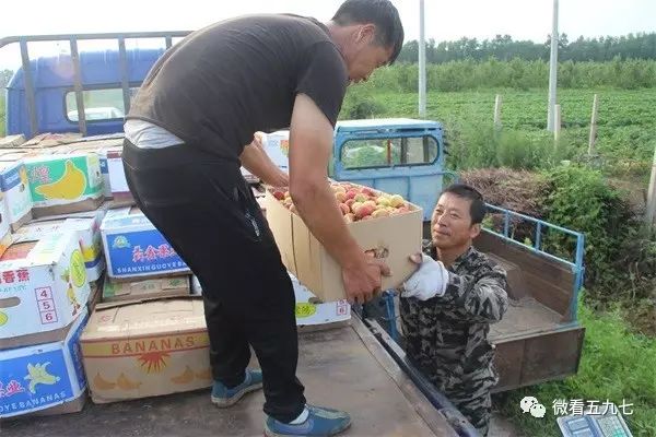 水果增加富硒元素的肥料(水果元素富硒增加肥料的原因)-硒宝网