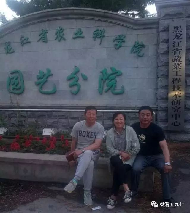 水果增加富硒元素的肥料(水果元素富硒增加肥料的原因)-硒宝网