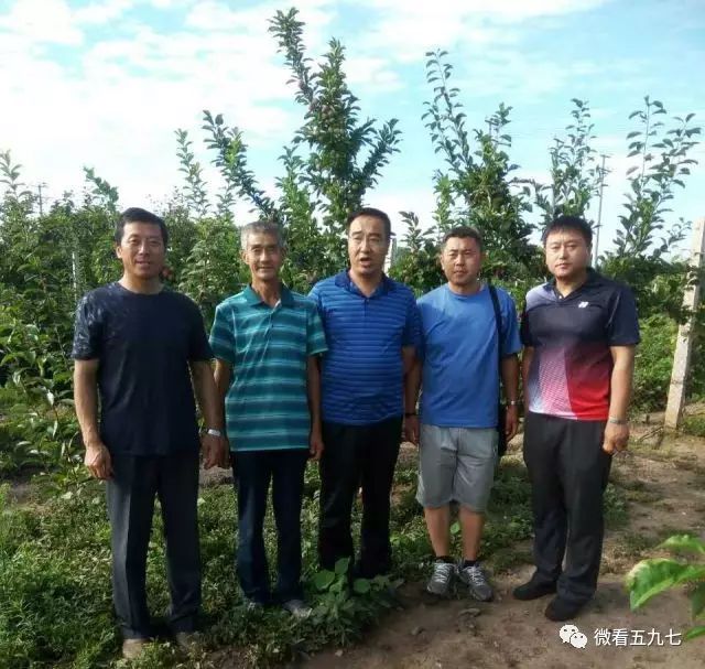 水果增加富硒元素的肥料(水果元素富硒增加肥料的原因)-硒宝网