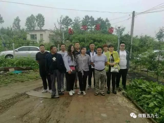 水果增加富硒元素的肥料(水果元素富硒增加肥料的原因)-硒宝网