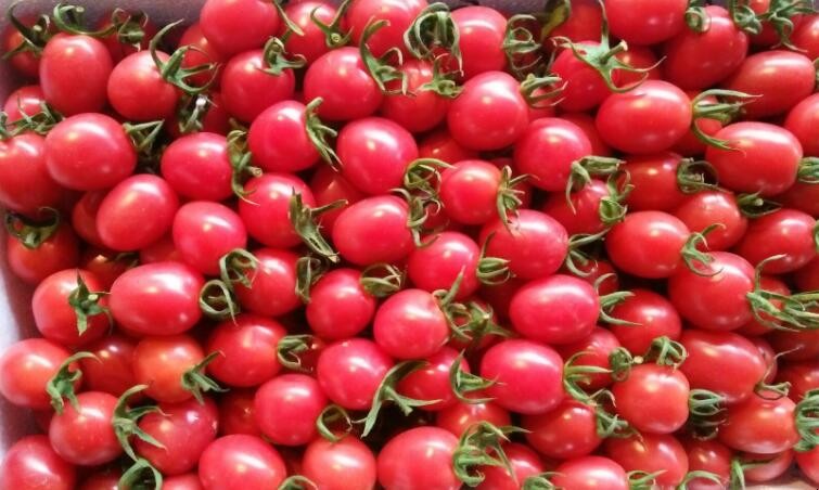 碱性富硒水果有什么作用（碱性水果食物有哪些水果）-硒宝网