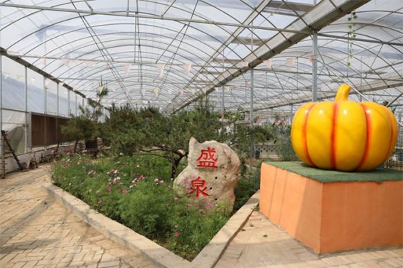 天然富硒水果是哪些品种(水果天然品种富硒是哪种)-硒宝网