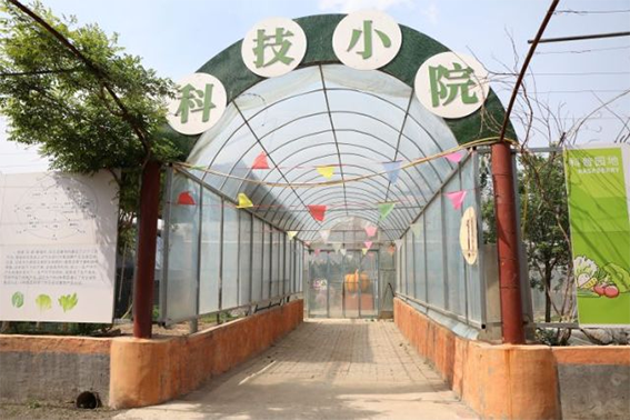 天然富硒水果是哪些品种(水果天然品种富硒是哪种)-硒宝网