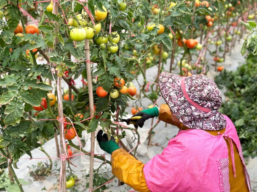 于都富硒水果有哪些品种（于都富硒产业发展中心）-硒宝网